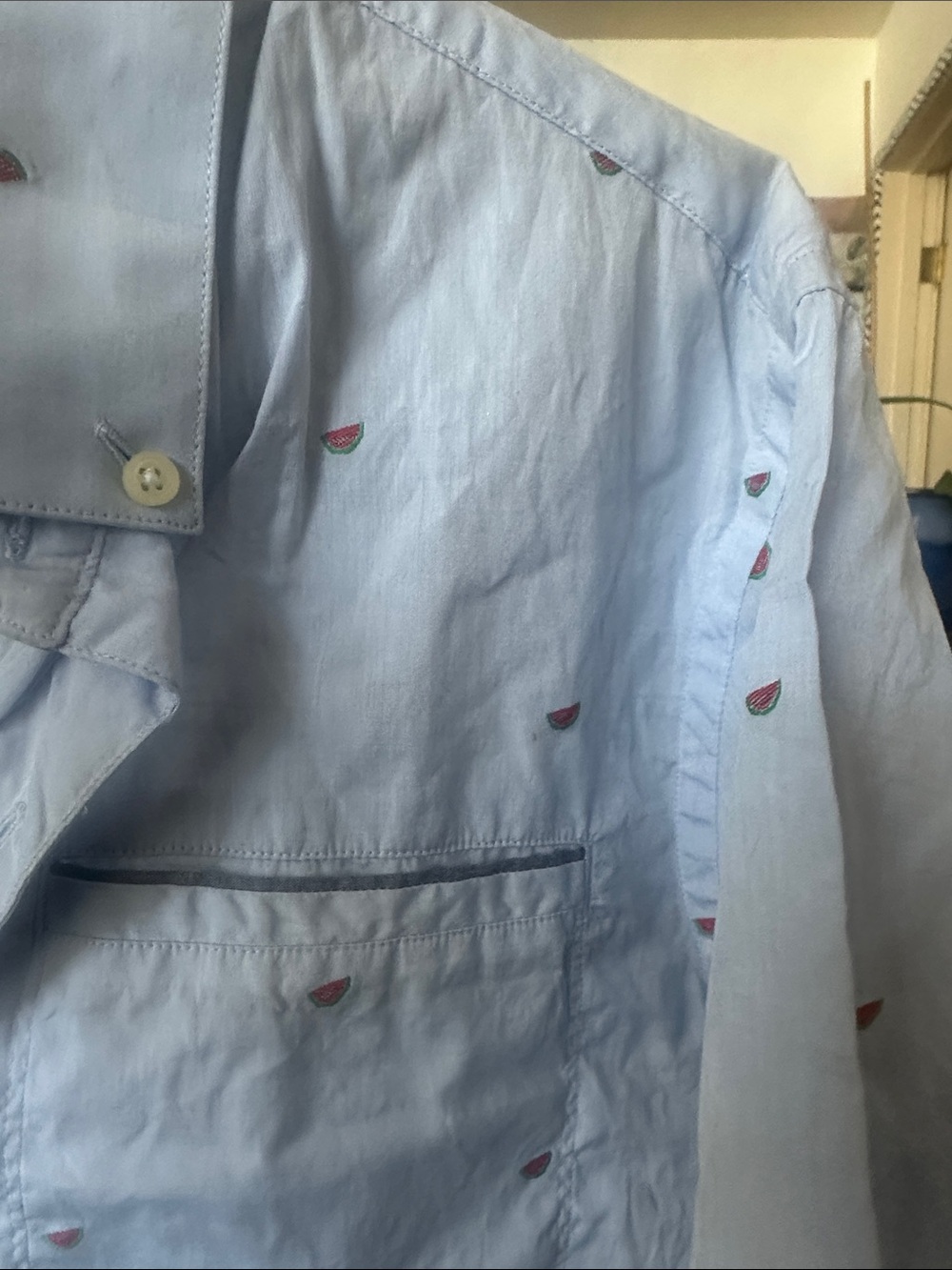 Light Blue Embroidered Watermelon Shirt Jacket